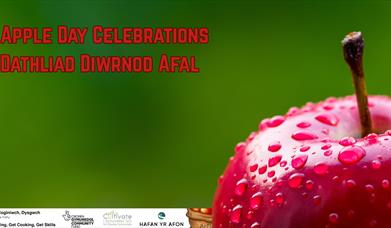 Apple Day Newtown