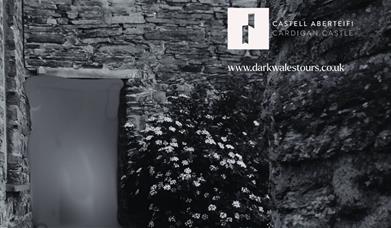 Dark Tours of Wales - Cardigan Castle Ghost