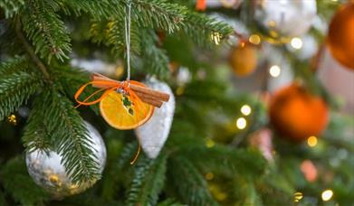 Llanerchaeron Christmas Fair