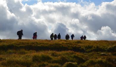 Real Ale Ramble Llanwrtyd Wellds Green Events