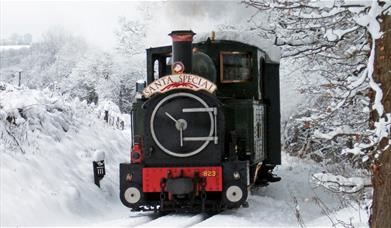Santa's Special Train