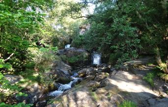 Just 5 minutes walk from the cottages you find a spectular waterfall - follow it up the hill and you find more beauty.