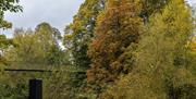 Dolerw Park - Autumn Colours