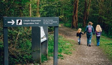 Waymarked walking trail, Gogerddan Wood