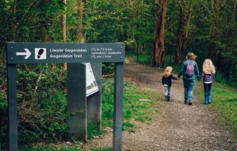 Waymarked walking trail, Gogerddan Wood