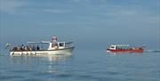 Dolphin Spotting Boat Trips Ermol 5 and Ermol 6 cruising along the Cardigan Bay Special Area of Conservation, on a beautiful in West Wales.