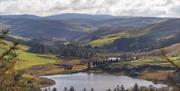Bwlch Nant yr Arian | View of the Lake