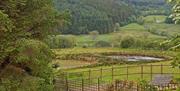 Plas Bwlch | View of Fish Lakes