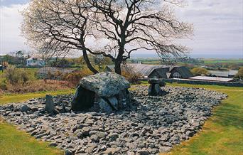 Dyffryn Ardudwy Burial Chamber (Cadw)