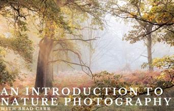 An Introduction to Nature Photography with Brad Carr workshop