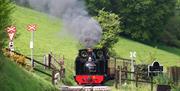 A steam train passing over a crossing on approach to Aberffrwyd station