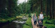 Hafren Forest | Cascades Trail accessible boardwalk