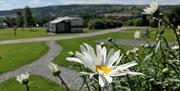 South facing with views of the Camlad Valley. Fully serviced pitches for caravans, motorhomes and campervans. Two of our pods are also located here