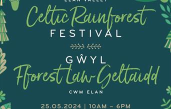 Graphic for the Celtic Rainforest Festival