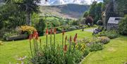 View of the gardens with red hot pokers, at Nannerth