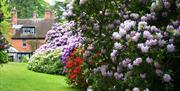 Hergest Croft Garden Herefordshire