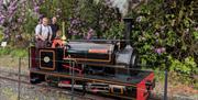 A member of the public enjoying a driver experience on 'Margaret' one of Vale of Rheidol's smaller steam engines.