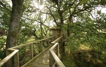 Nannerth Private Nature Reserve | Treehouse Hide