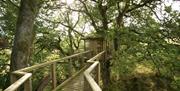 Nannerth Private Nature Reserve | Treehouse Hide