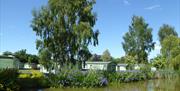 Gellidywyll holiday home park | Exclusive course fishing lakes