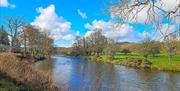 River Irfon beside Powys River pods
