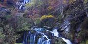 RSPB Lake Vyrnwy waterfalls