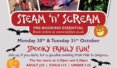Steam n Scream Poster