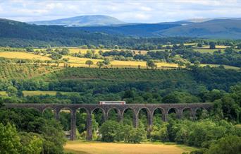 Train Passing over Cynghordy Viaduct with the Western Brecon Beacons in the distance