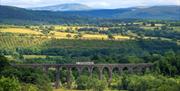Train Passing over Cynghordy Viaduct with the Western Brecon Beacons in the distance
