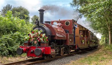 Floral Trail at Talyllyn Railway