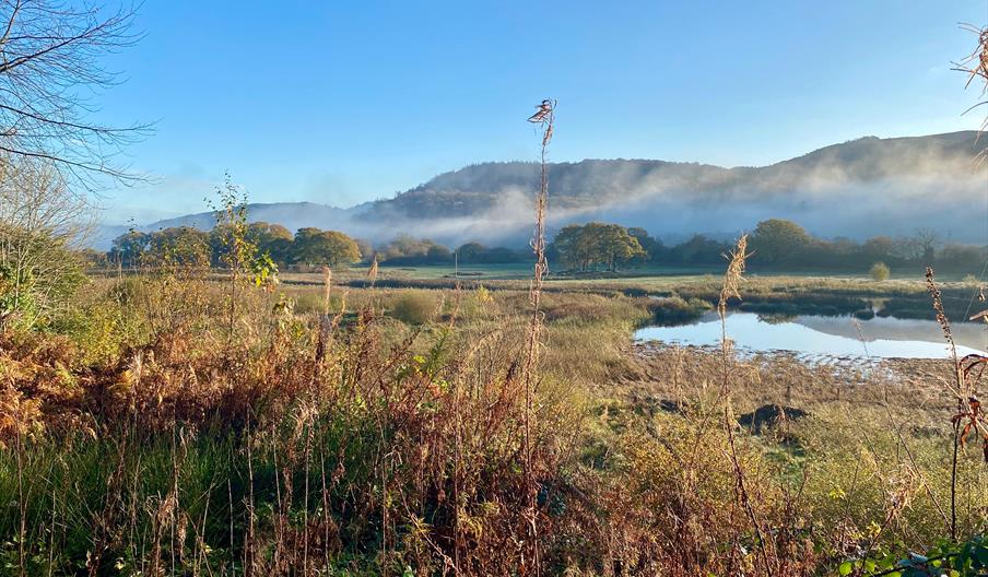 RSPB Ynys-hir RSPB Ynys-hir