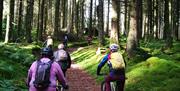 MTB in the Hafren Forest
