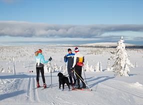 Budor, langrenn, Løten, ski