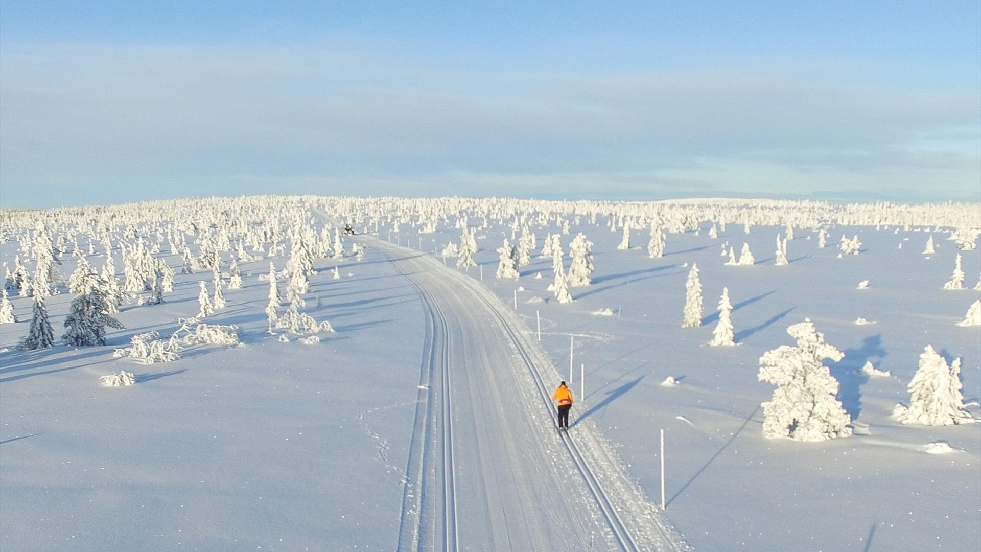 Skiløper på Budor