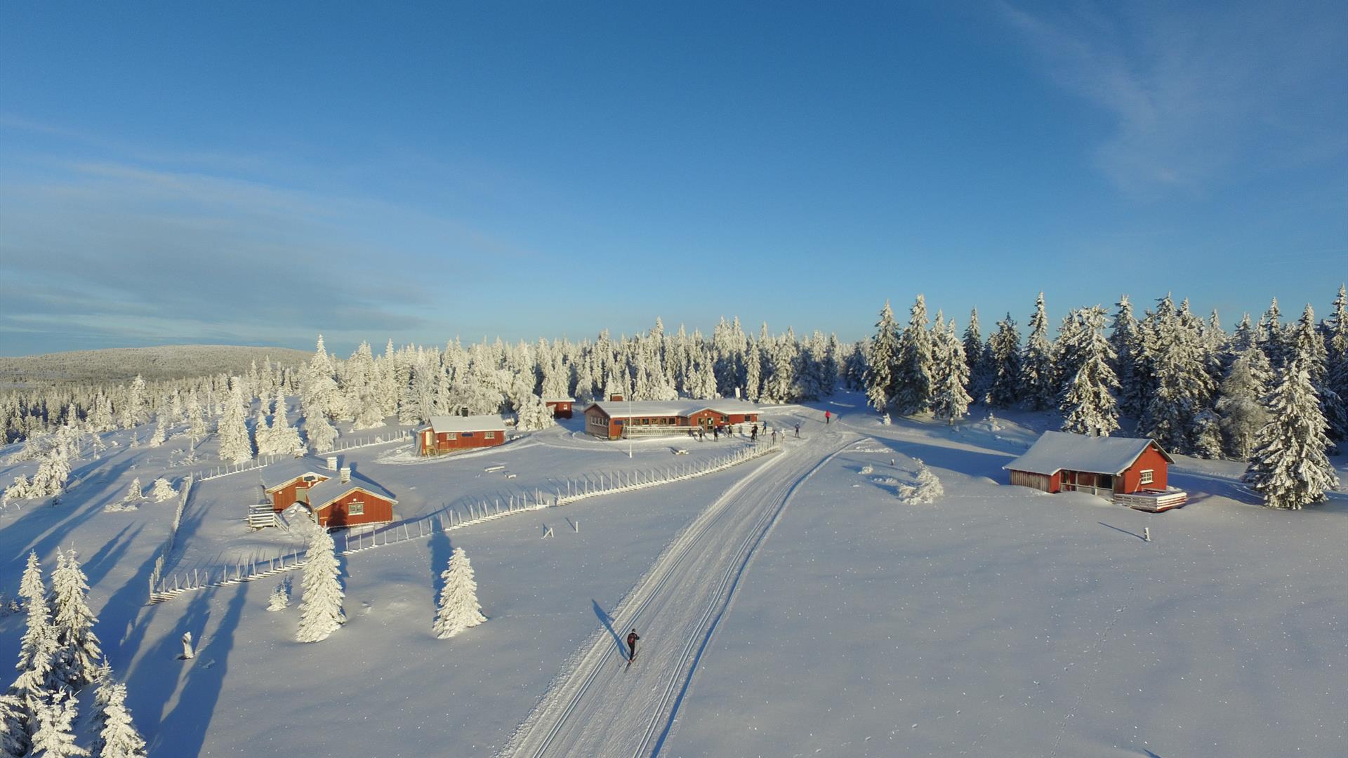 Mållia på Hedmarksvidda