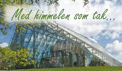 Med himmelen som tak