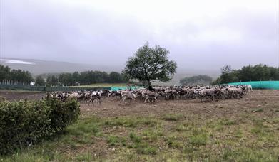 Åpen omvisning // Kari Steihaug og Tina Jonsbu, og Tulle Ruth