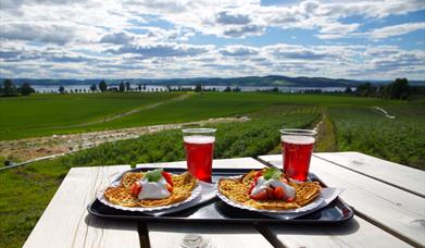 Strawberry kiosk at farm Søndre Elton