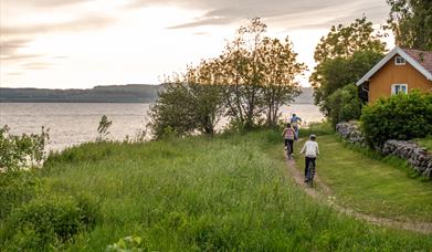 Sykkeltur i Stange Vestbygd