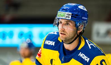 EHL: Storhamar - Lørenskog