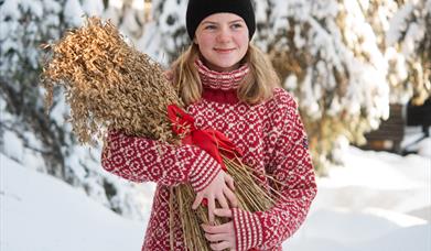 Julemarked på Budor