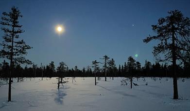 HHT Måneskinnstur på ski fra Vollkoia til Blåmyrkoia