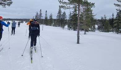 HHT Unge voksne: skitur på Vollkoia