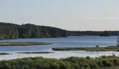 Kampen på Campen