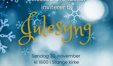 Ottestad Grendekor inviterer til hyggelig Julesyng i Stange kirke søndag 30. november kl 1800.