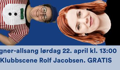 EGNER-ALLSANG / Hamar bibliotek