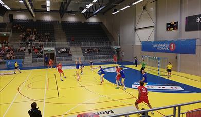 håndball, hamar, håndballhall