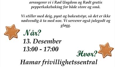 Pepperkakebaking med Hamar RU
