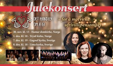 Julekonsert i Hamar domkirke