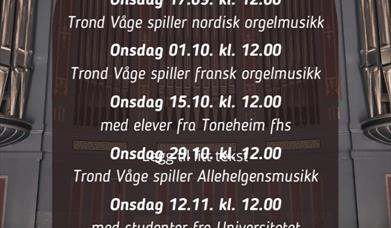 Lunsjkonsert i Hamar domkirke